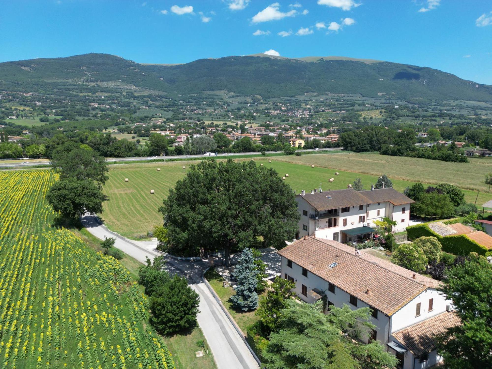 Il Quercione Agriturismo Rivotorto Extérieur photo