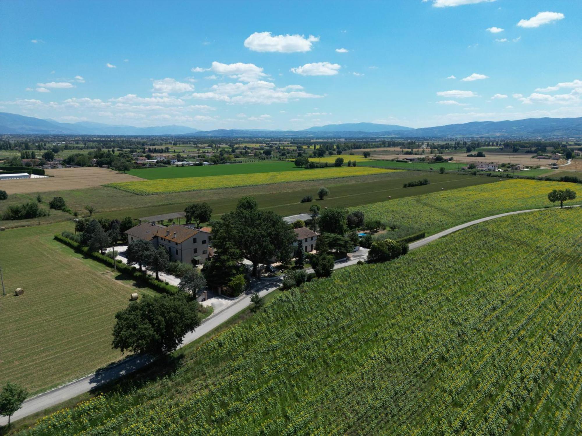 Il Quercione Agriturismo Rivotorto Extérieur photo