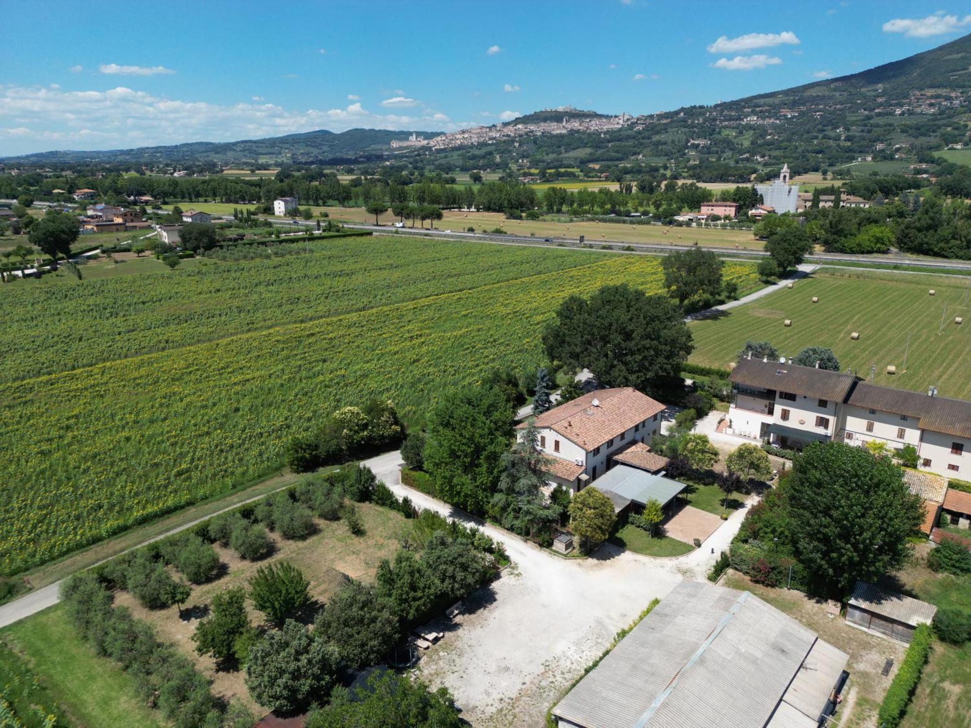 Il Quercione Agriturismo Rivotorto Extérieur photo